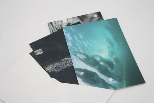 Aquatics Signature Postcard set flash